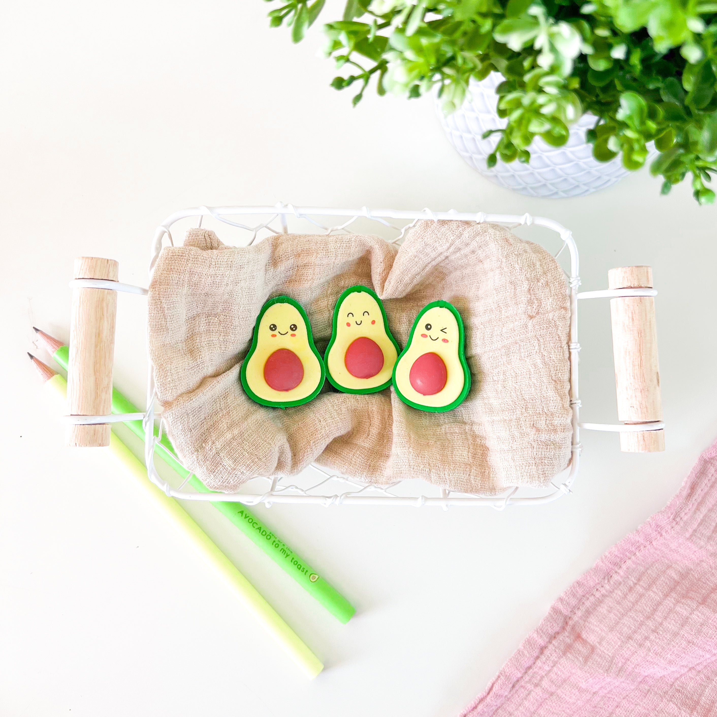 Radiergummi Set AVOCADO